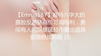 【Emma18Y】推特八字大奶露脸反差婊高价订阅福利，勇闯有人男厕景区超市露出道具紫薇野战啪啪 (3)