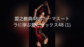 愛之教典48式カーマスートラに学ぶ爱とセックス48 (1)