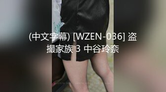 (中文字幕) [WZEN-036] 盗撮家族 3 中谷玲奈