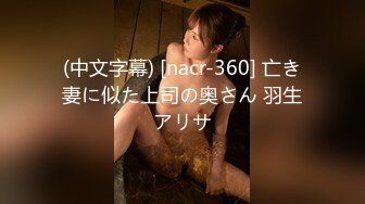 (中文字幕) [nacr-360] 亡き妻に似た上司の奥さん 羽生アリサ