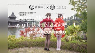 SWAG I AM Neko-Christmas gift 快来带我回家吧！ Lonelymeowneko