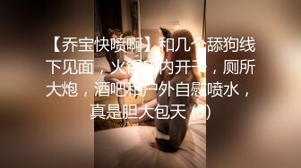 【乔宝快喷啊】和几个舔狗线下见面，火锅店内开干，厕所大炮，酒吧和户外自慰喷水，真是胆大包天 (3)