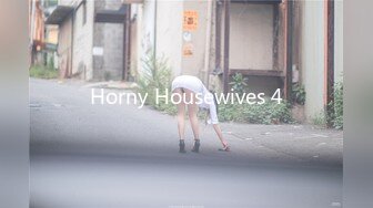 Horny Housewives 4