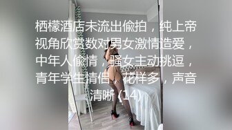 栖檬酒店未流出偸拍，纯上帝视角欣赏数对男女激情造爱，中年人偸情，骚女主动挑逗，青年学生情侣，花样多，声音清晰 (14)