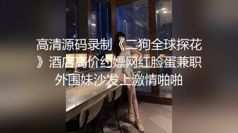 高清源码录制《二狗全球探花》酒店高价约嫖网红脸蛋兼职外围妹沙发上激情啪啪