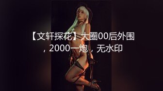 【文轩探花】大圈00后外围，2000一炮，无水印