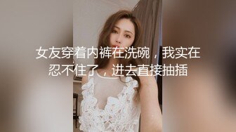 女友穿着内裤在洗碗，我实在忍不住了，进去直接抽插