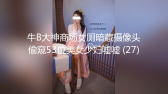 牛B大神商场女厕暗藏摄像头偷窥53位美女少妇嘘嘘 (27)