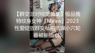 【群交派对视觉盛宴】极品推特纹身女神『Meaw』2023性爱绽放群交私拍抗操小穴轮番被抽插 (3)