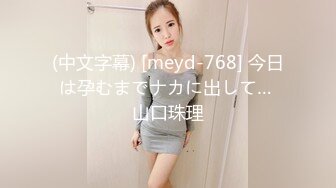 (中文字幕) [meyd-768] 今日は孕むまでナカに出して… 山口珠理