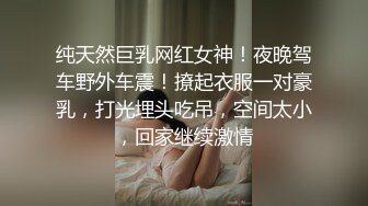 纯天然巨乳网红女神！夜晚驾车野外车震！撩起衣服一对豪乳，打光埋头吃吊，空间太小，回家继续激情