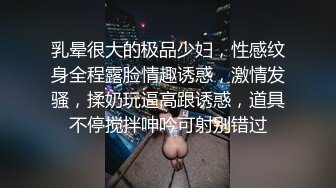 乳晕很大的极品少妇，性感纹身全程露脸情趣诱惑，激情发骚，揉奶玩逼高跟诱惑，道具不停搅拌呻吟可射别错过